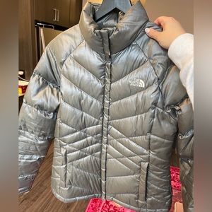 The North Face Silver Grey Puffer Down Jacket